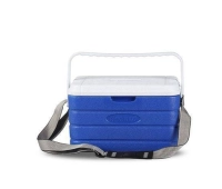 Автомобильные холодильники